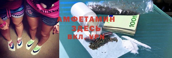 стаф Новодвинск