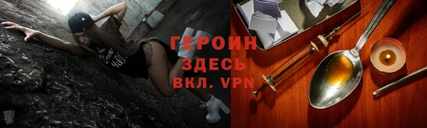 стаф Новодвинск