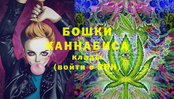 стаф Новодвинск