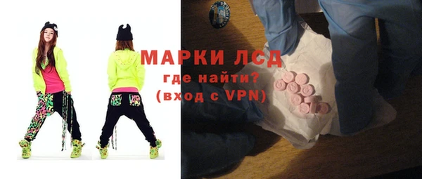 стаф Новодвинск