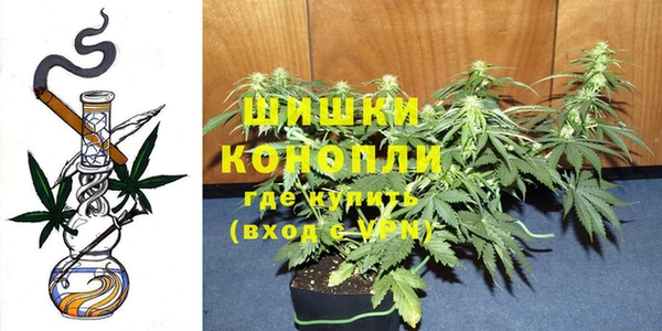 стаф Новодвинск