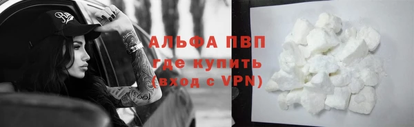 стаф Новодвинск