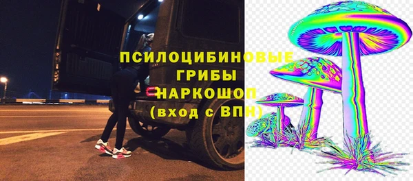 стаф Новодвинск