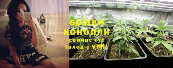 стаф Новодвинск