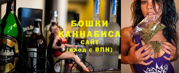 стаф Новодвинск