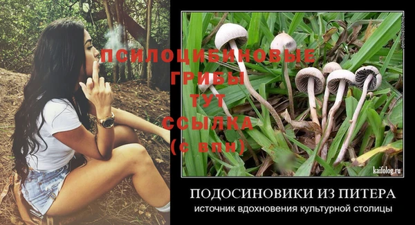 хмурый Новокубанск