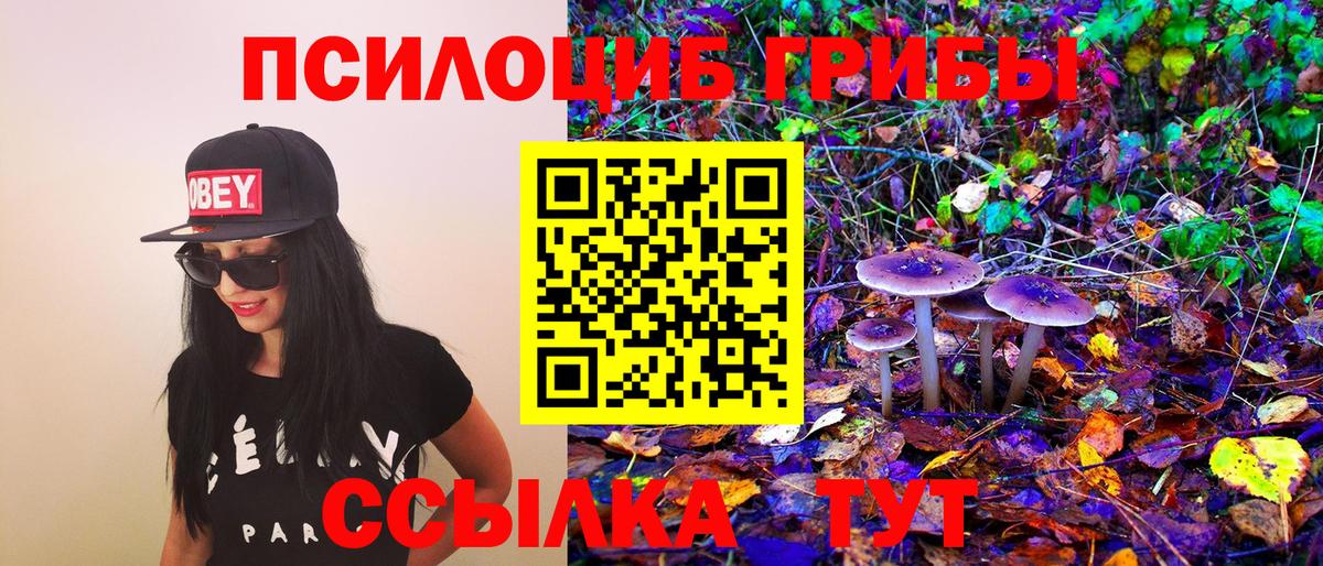Галлюциногенные грибы ЛСД  Вход с VPN  Ногинск 